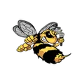 Stingdem Radio Radio Logo