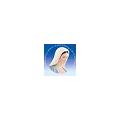 Mária Rádió Erdély Radio Logo