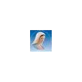 María Argentina Radio Logo