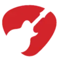 Nashville FM Radio Logo