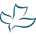 CSN International Radio Logo