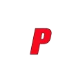 WPTY "Party 105.3" Calverton-Roanoke, NY Radio Logo