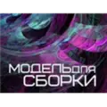Модель для сборки Radio Logo