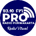Radio PRO FM Purwakarta Radio Logo