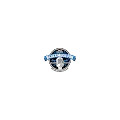 Blues Music Fan Radio Radio Logo