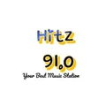 HITZ 91.0 Radio Logo