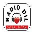 radiodil Radio Logo