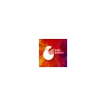 RAdio Slubfurt Radio Logo