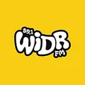 WIDR Western Michigan University Radio Logo