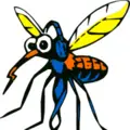 CIAU-FM 103.1 Radisson, QC Radio Logo