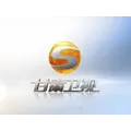 甘肃卫视伴音 Radio Logo