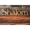 Shalom Radio Jinja (MP3) Radio Logo