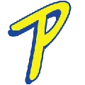 98.1 Power FM - Muswellbrook - 98.1 FM (MP3) Radio Logo