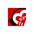 Amor FM 91.9 Radio Logo