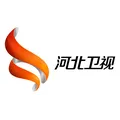 河北卫视伴音 Radio Logo