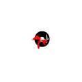 The Borderline Radio Radio Logo