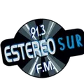Estereo Sur 91.3 FM Radio Logo