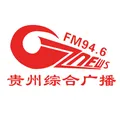贵州综合广播 Radio Logo