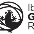 Ibiza Global Classics Radio Logo