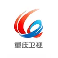 重庆卫视伴音 Radio Logo