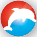 Dolfijn FM Classic 80's 90's Radio Logo