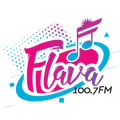 Flava FM 100.7 Radio Logo