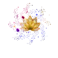 Constellations Radio Radio Logo