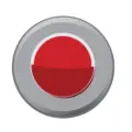 Show radio  Radio Logo