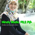 Nindy Radio 98.2 FM Radio Logo