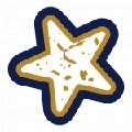 Wild Willy 100.1 FM Radio Logo