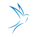 Tre Raadio Ruut FM Radio Logo