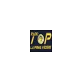 Radio Top Suceava Radio Logo