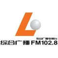 乐山综合广播 Radio Logo