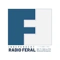 Radio Feral Kalesija Radio Logo
