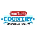 Radio Disney Country FM 99.1 Radio Logo