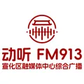 动听913（宣化区融媒体中心综合广播） Radio Logo