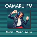 91.2 Oamaru FM Radio Logo