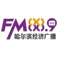 哈尔滨经济广播 Radio Logo