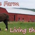 Ritter Farms Internet Radio Radio Logo