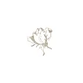 The Industrial Complex Radio Logo