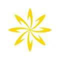 AlHayet FM Radio Logo