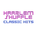 Haarlem Shuffle Radio Logo