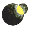 radio orbital  Radio Logo