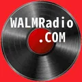 Classic Vinyl HD Radio Logo