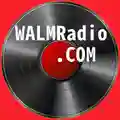 Classic Vinyl HD Radio Logo