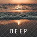 Aplus.FM Deep Radio Logo