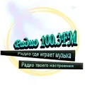 100.3 FM Radio Logo
