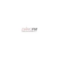 Rádio Diário FM 92,9 - O Prazer de ouvir boa música Radio Logo
