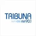 Tribuna soft FM 90,1 Radio Logo