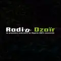 Radio Dzair Raina Radio Logo
